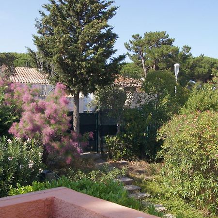 Lara 2 - T2 Balcon Piscine Lit Double & Clic-Clac Parking Pres Du Centre-Port Et Ile Loisirs Agde Eksteriør billede